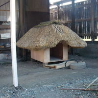 茅葺で出来ている犬小屋はハチの家です。すごい！