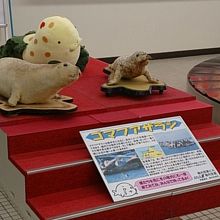 荷物引取り場所