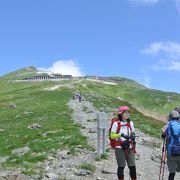 女性に大人気の花の山