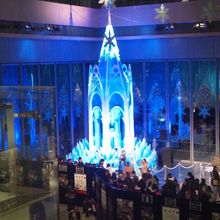 入場制限があり待ち時間はディズニーランド並み