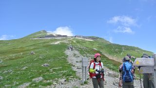 女性に大人気の花の山