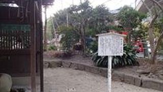 御手洗の三本杉です。これは、古来より、糺の森（ただすのもり）三本杉から湧出する神水により人々の生活や田畑を潤していたことで知られる名水との事です。