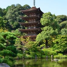 池の向こう側から眺める