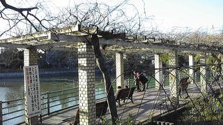 冬でもポカポカ