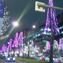 御堂筋イルミネーション 