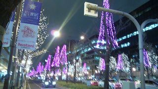 毎年恒例の御堂筋イルミ