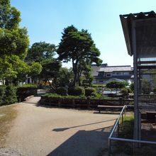 広めの公園です