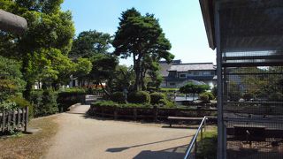 ベンチや水飲み場など、子供を連れて行きたい場所です