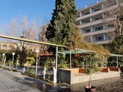 パーク ホテル 写真