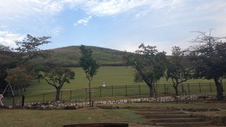 鹿が放し飼いの若草山