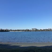 なぎさの森の夕やけなぎさ