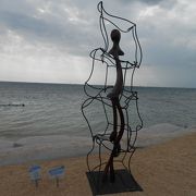 一番手軽に行ける無人島　サンゴの群生広がる