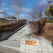 住宅街のちょっと大きな公園　地元の人向けです