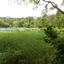 同じ角度かな。