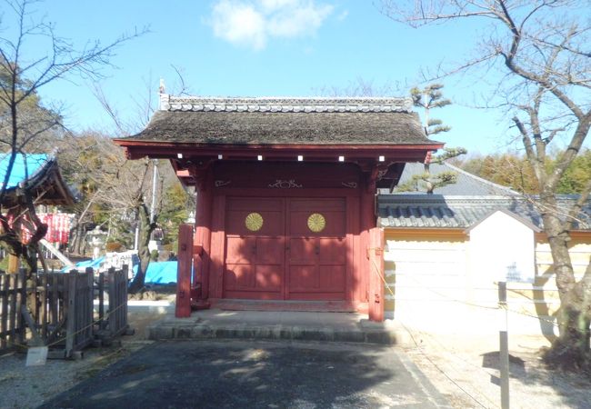 由緒ある浄土宗のお寺　菊の紋がある赤い勅使門が目をひきます