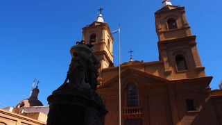 散歩の途中に出会いました