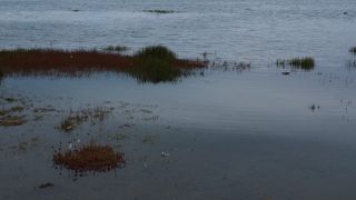 湖の向こうに見える山並みが綺麗でした