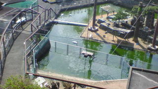 和歌山城のそばで動物たちと触れ合えます