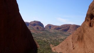 まさにナウシカの世界