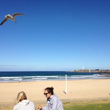 そうだ ウーロンゴンに行こう 人とは一味違うオーストラリアを見てみませんか 一度は体験 素敵なビーチで朝食も By マイリーママ ウロンゴン ノースビーチのクチコミ フォートラベル