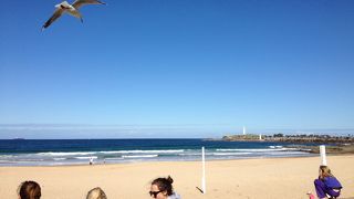 そうだ、ウーロンゴンに行こう！人とは一味違うオーストラリアを見てみませんか？一度は体験！素敵なビーチで朝食も！