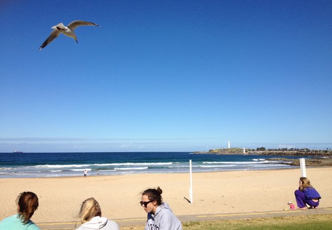 そうだ、ウーロンゴンに行こう！人とは一味違うオーストラリアを見てみませんか？一度は体験！素敵なビーチで朝食も！