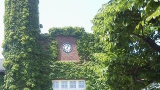 エグザイルの「道」！