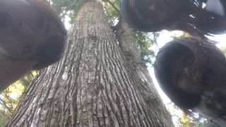 おっきくてびっくり