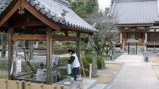 寺のシンボル「不老松」は讃岐一刀彫の大師像として今は復活しています