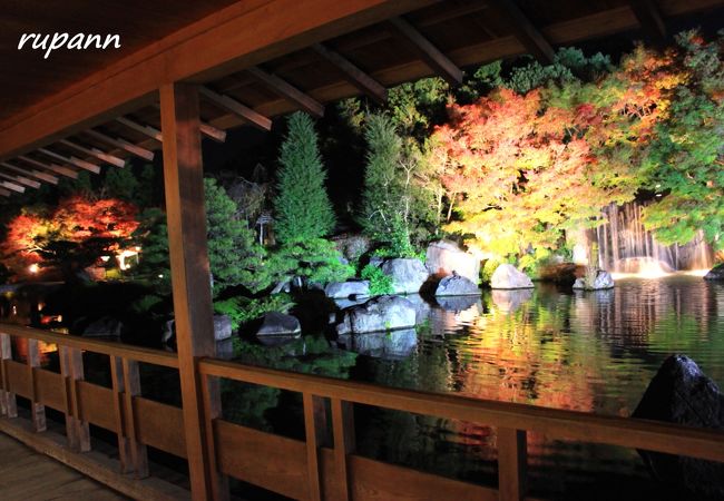 変化に富んだ見ごたえある庭園は紅葉も素晴らしい♪