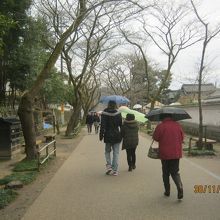 左側に秋月城がありました。