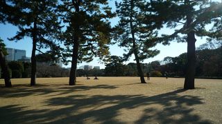 あの有名な・・・