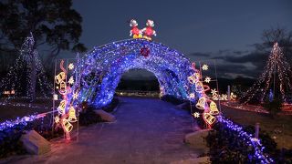 平池は隠れた名所