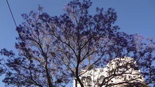 ファハルッディン