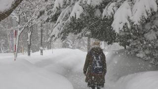 野幌グリーンモール