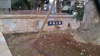 千葉駅から近いオアシス