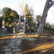 富士塚・・この日立ち入り不可でした