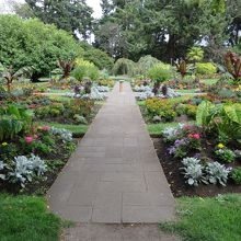 公園内の花壇