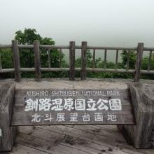 残念ながら近くの一部分しか見れなかった