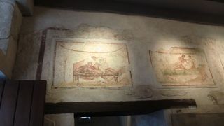 ツアーだと全体の１／１０くらいしか見られません。