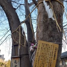 聖橋近くに残る元宮