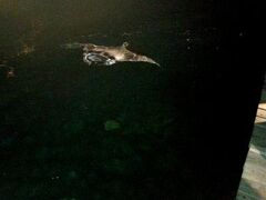 ファン アイランド リゾート & スパ 写真