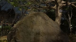 詳細はよくわかっていないようです