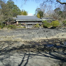 小浜池と楽寿邸です。水がまったくありません。さみしい風景です