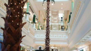 ショップは充実しています