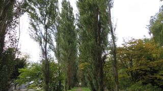 台風災害からの再生が図られています。