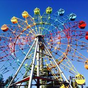 入園料は無料なので散歩も可能