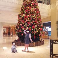 ロビーには綺麗なツリーがお出迎え