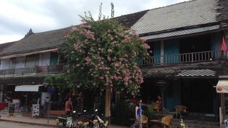 昔ながらの風情が残る通り