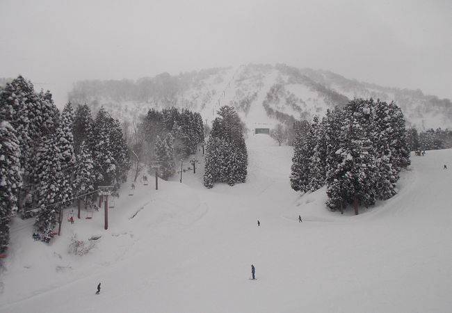 圧雪していないゲレンデが多くあるスキー場